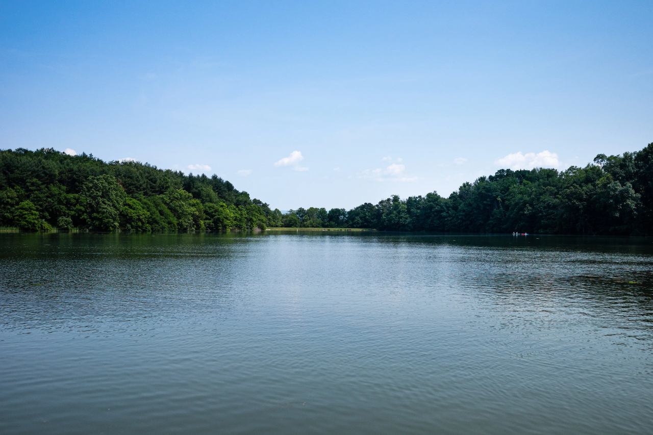 Scenic view of Lake Bowen in South Carolina with calm water, tree-lined shoreline, and clear blue sky